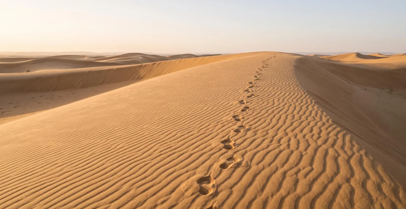 A single trail of footprints cutting diagonally across a pristine, wind-rippled dune crest at golden hour, symbolizing human impact on fragile desert ecosystems.